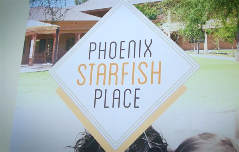 phoenix-starfish